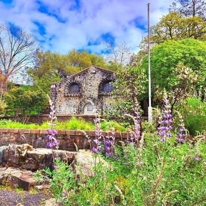 Feather River Nature Center in Spring
