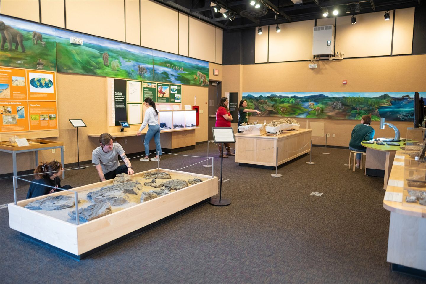On Display: Arts and Culture at Chico State