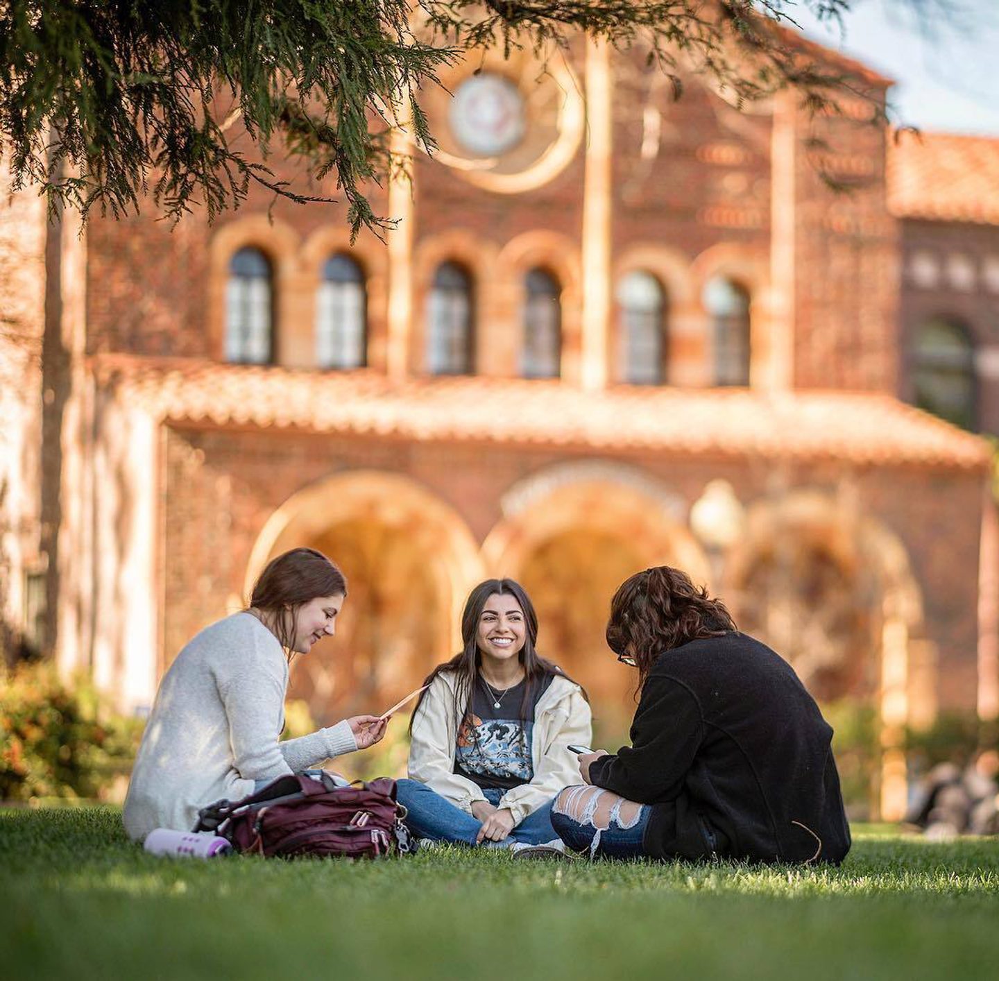 Discover Chico Charm: Small City, Big Experiences in Northern California