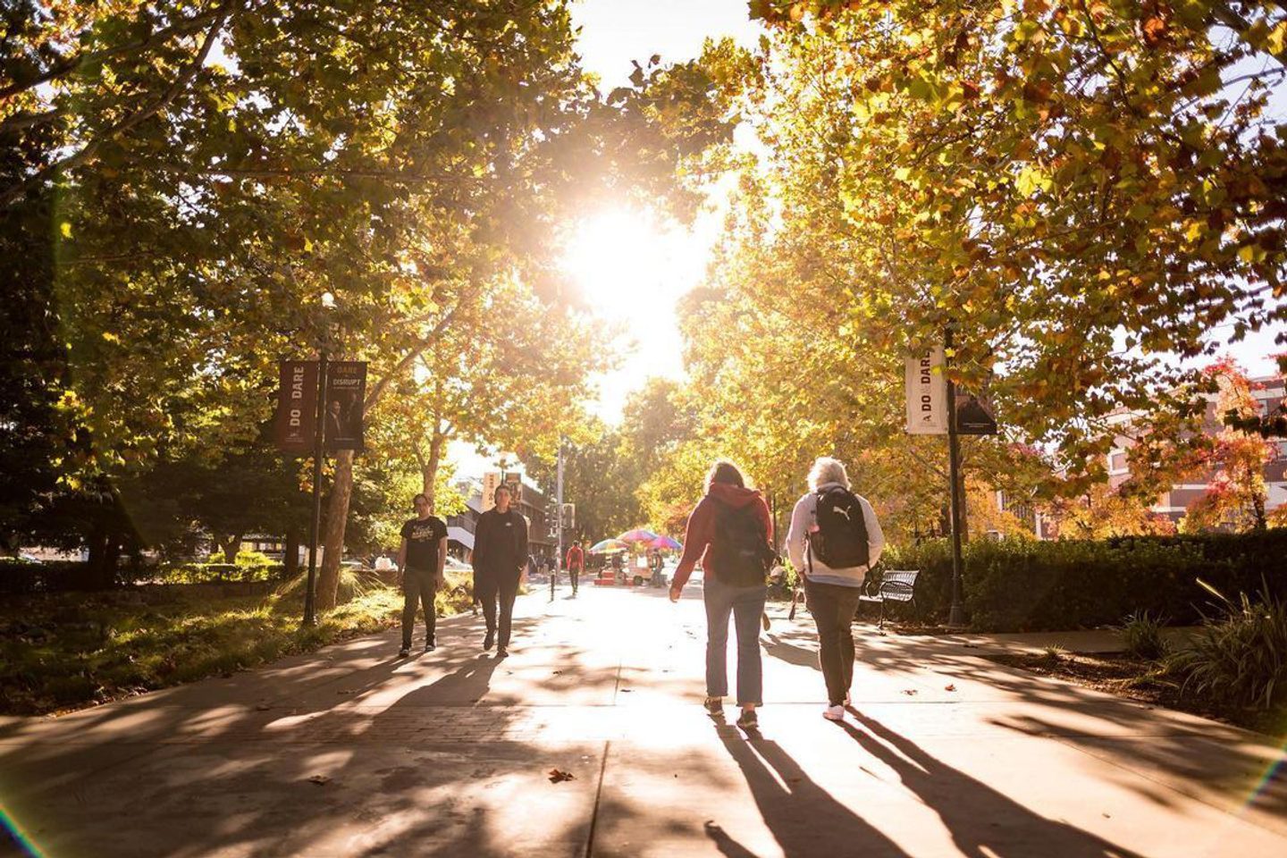 Downtown Chico: The Ultimate Guide
