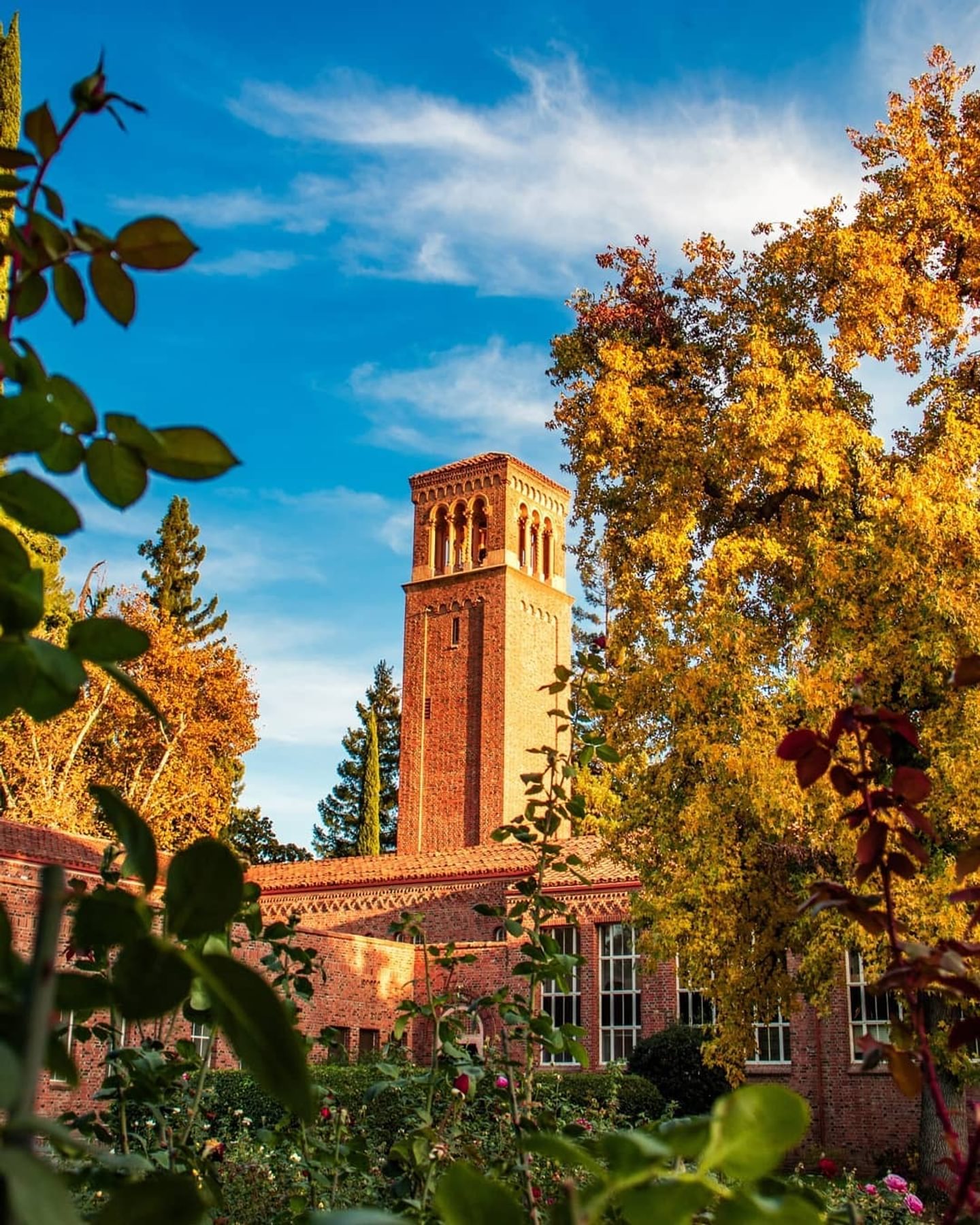 Best 50 Things to Do in Butte County