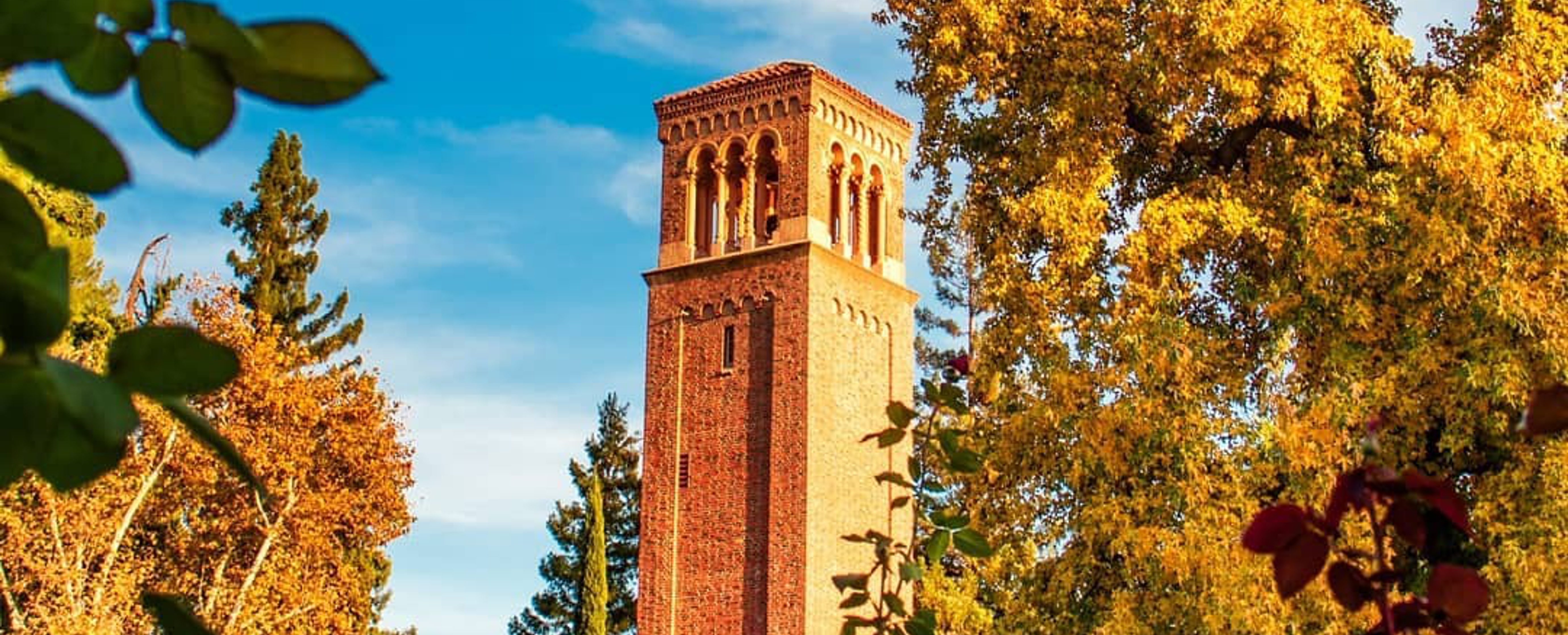 Chico State Spring College Connection: A Chico State Weekend… | Explore Butte County