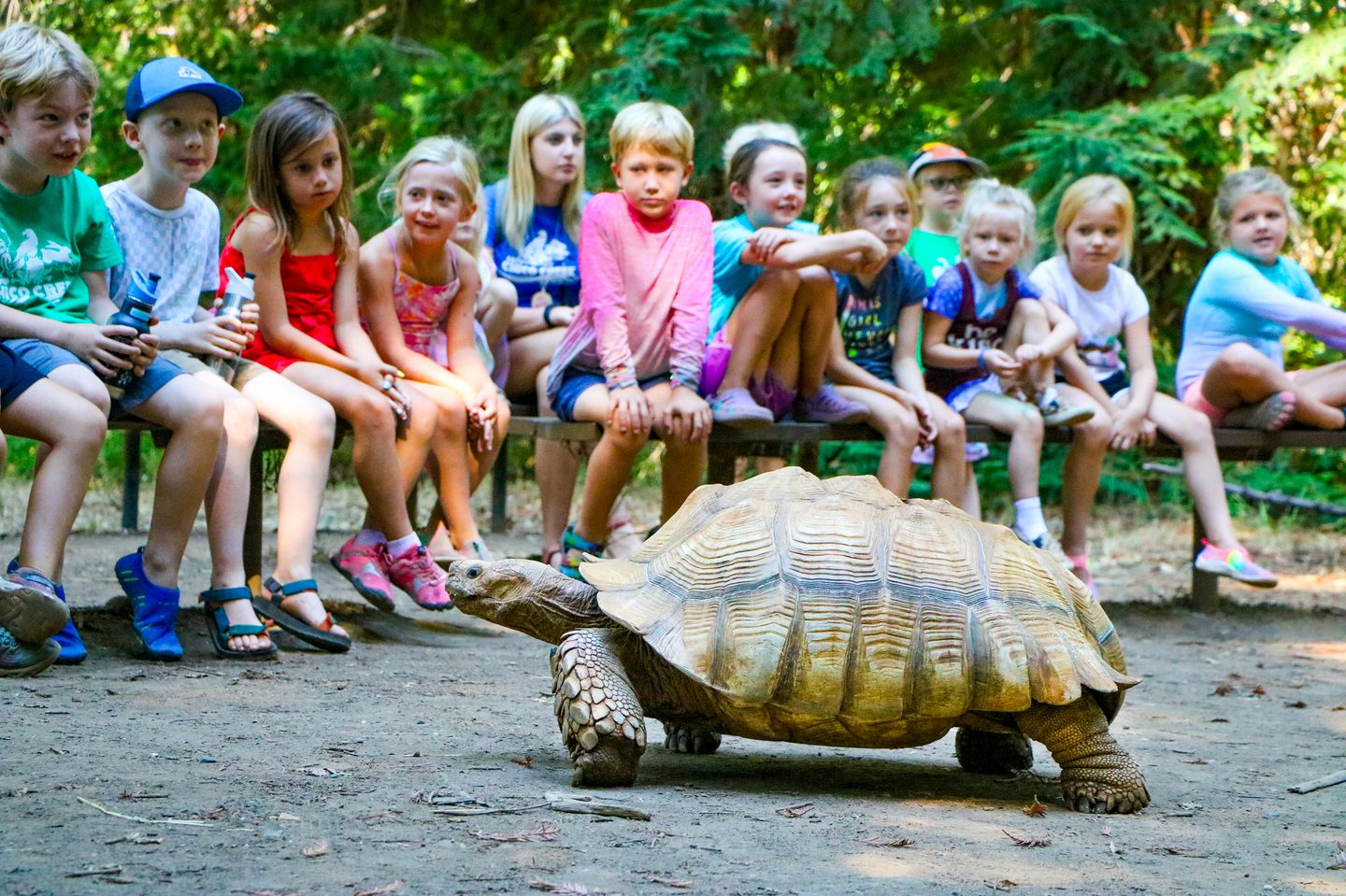 Just Kidding Around: 15 Kid-Friendly Spots in Butte County