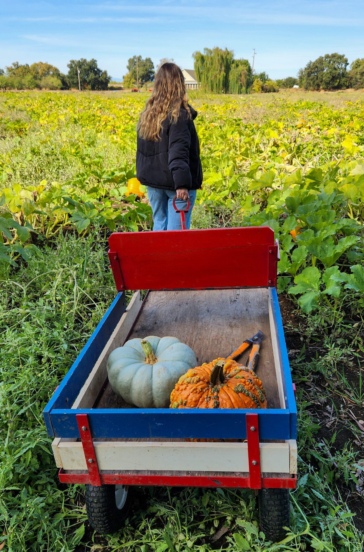 Fall Family Adventure