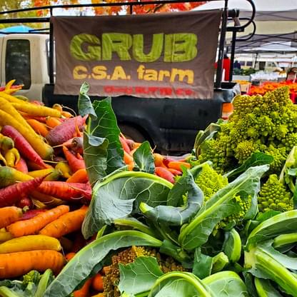 GRUB CSA Farm