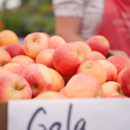 RTR JAD V8 00 01 09 15 Still017