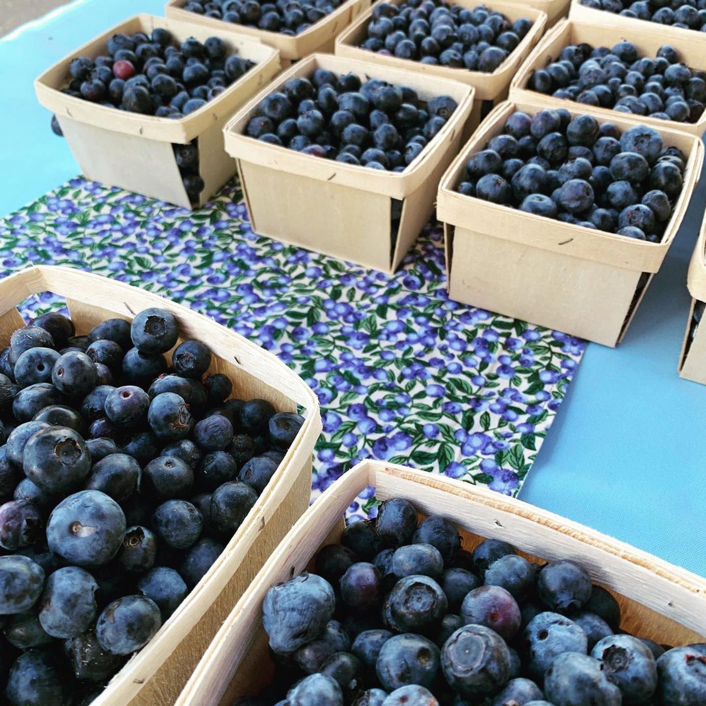 Popular U-Pick Farms in Butte County