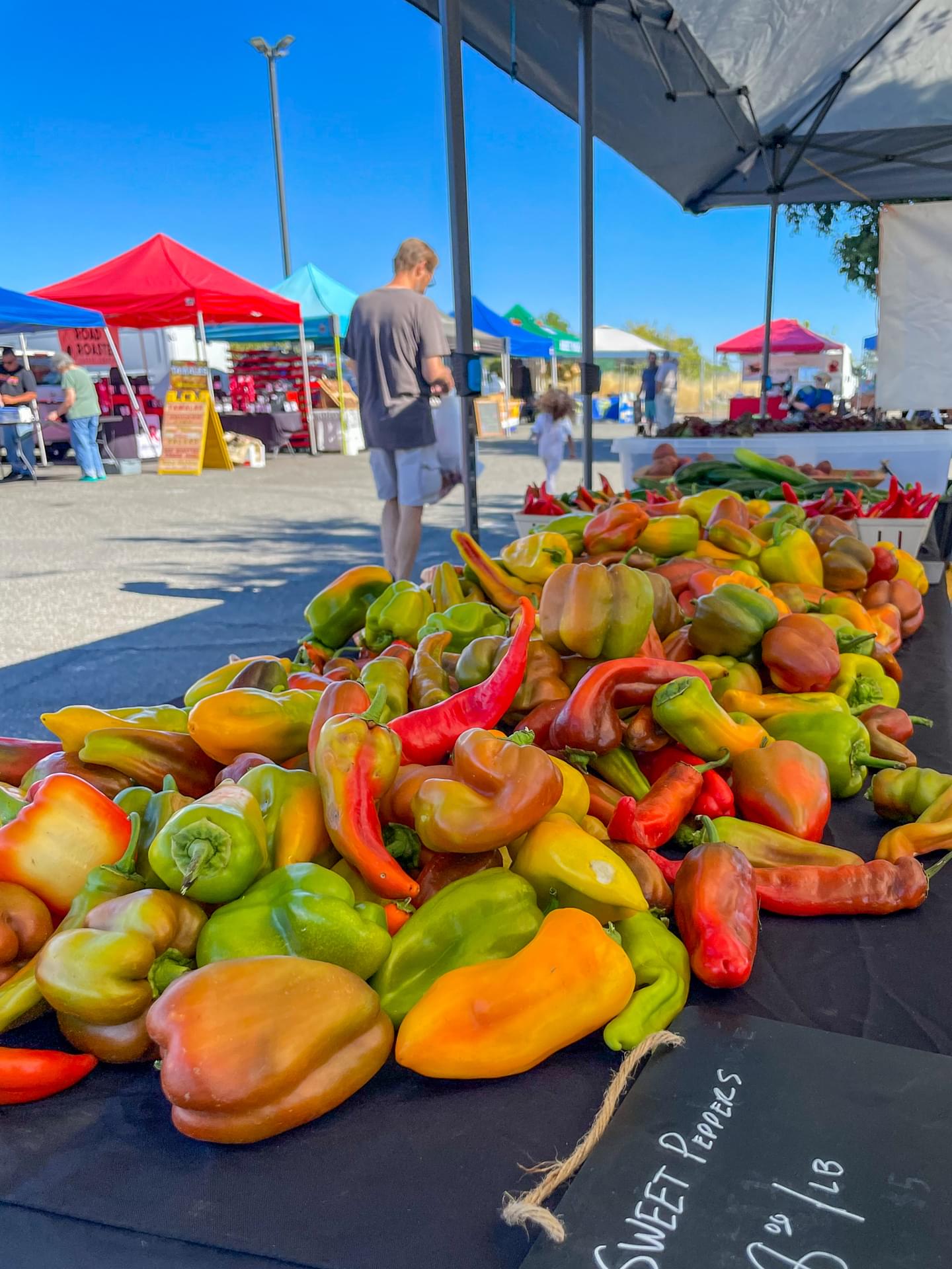 The Essential Guide to the Chico Certified Farmers Market