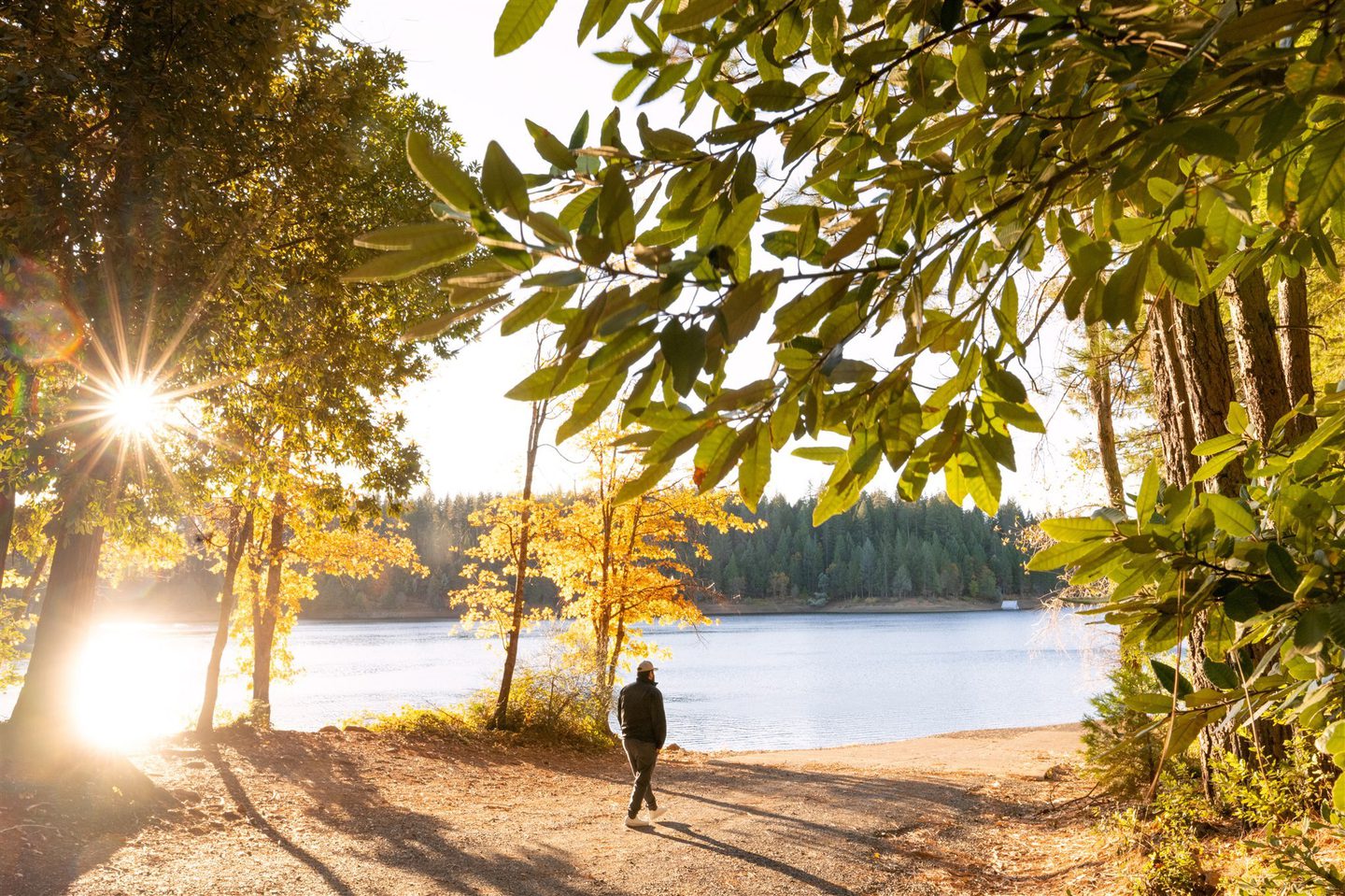 Top 10 Spots to See Fall Colors in Butte County