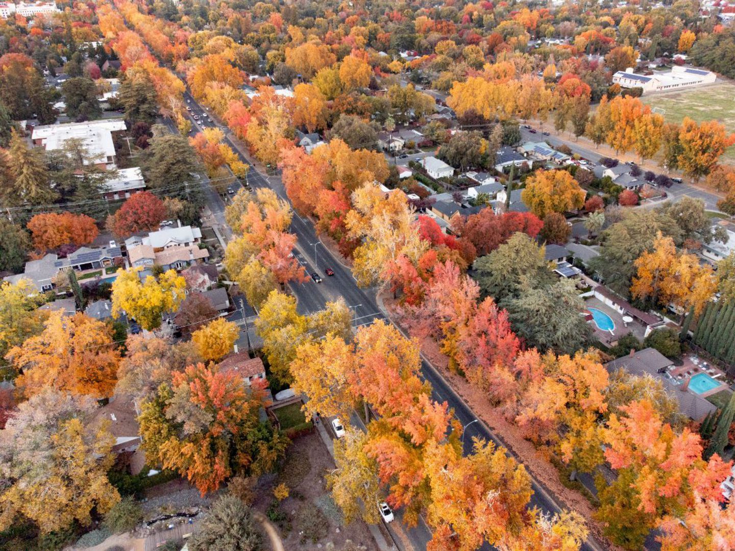 Top 10 Spots to See Fall Colors in Butte County
