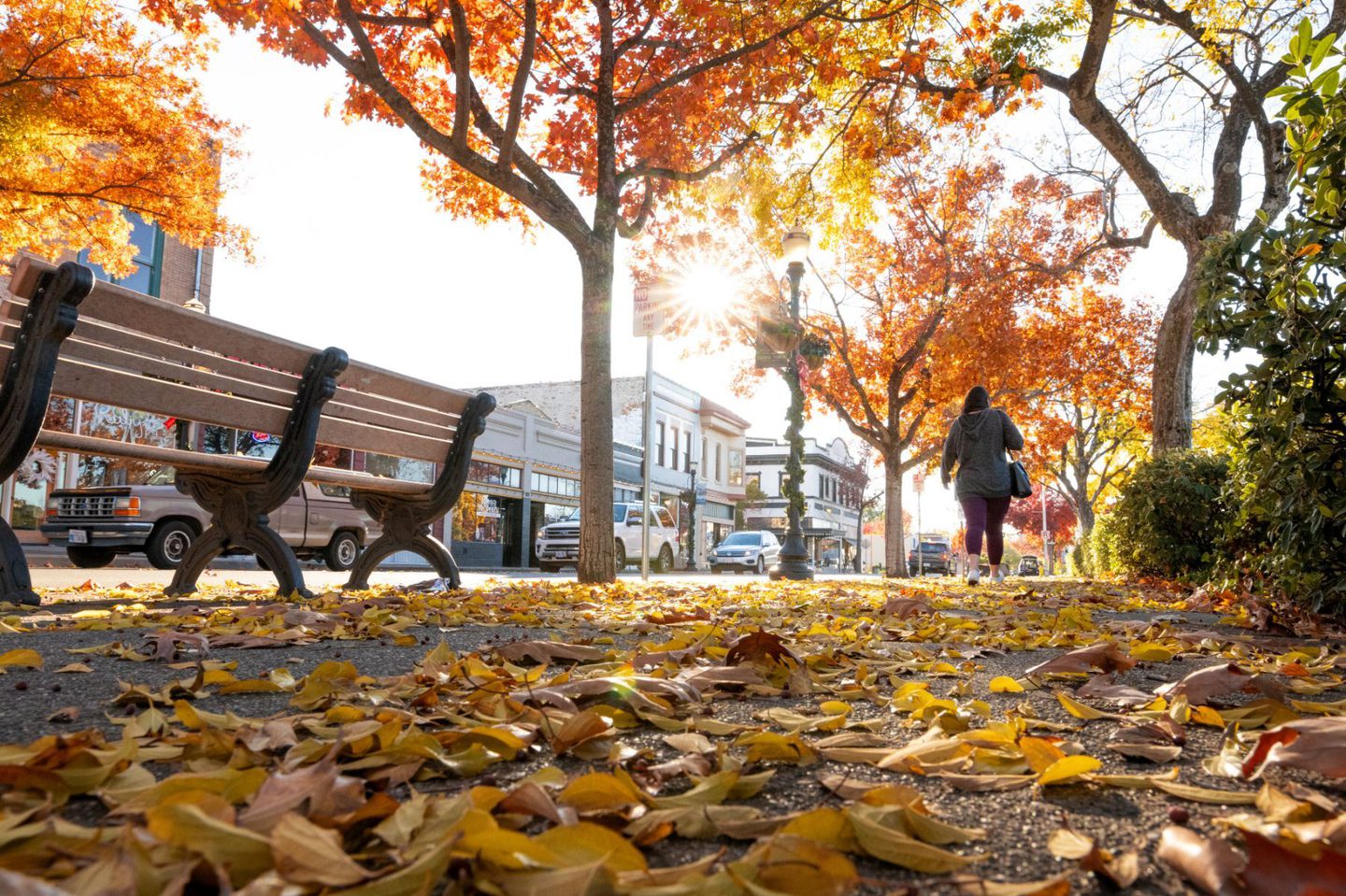 Top 10 Spots to See Fall Colors in Butte County