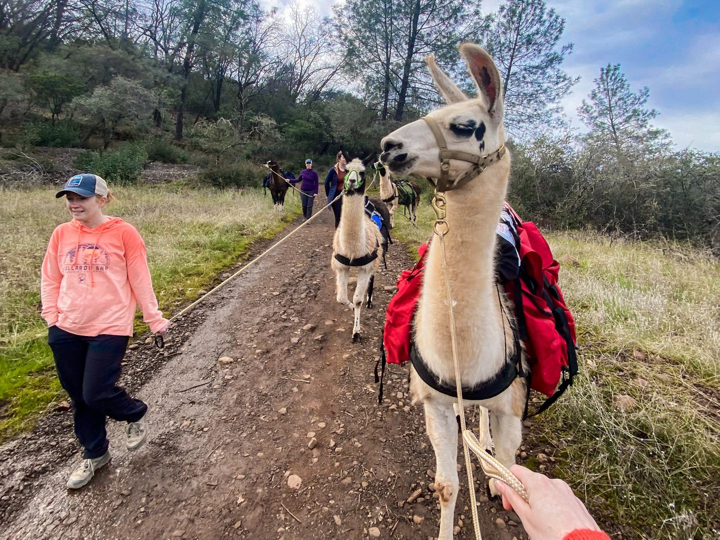 Off the Beaten Path: Five Unique Butte County Outdoor Activities