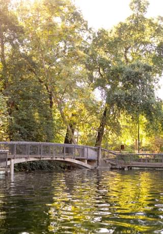 Lower Bidwell Park