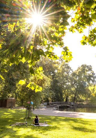 Bidwell Park
