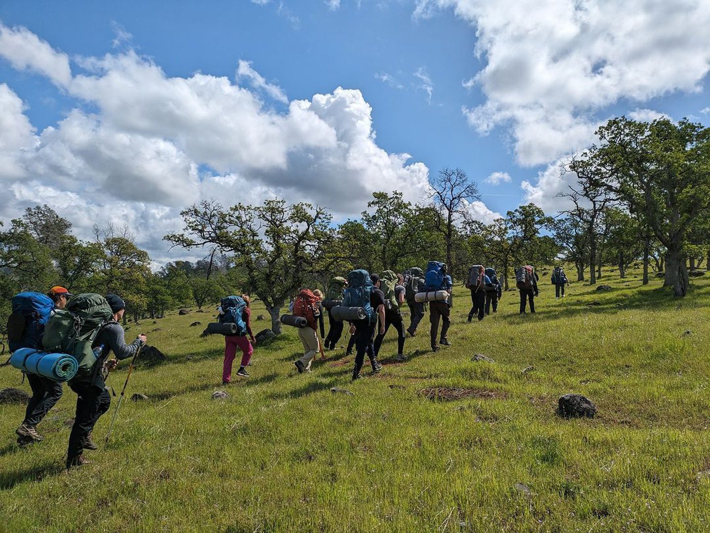 Discover the Big Chico Creek Ecological Reserve