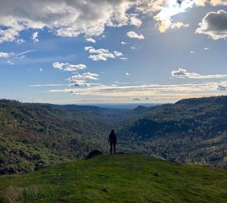 Discover the Big Chico Creek Ecological Reserve