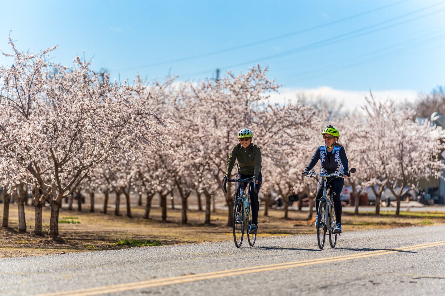 Love Is In The Air: The Couple’s Guide to Butte County