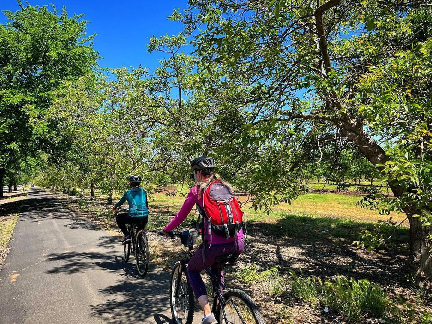 Why Butte County is a Dream Destination for All Cyclists