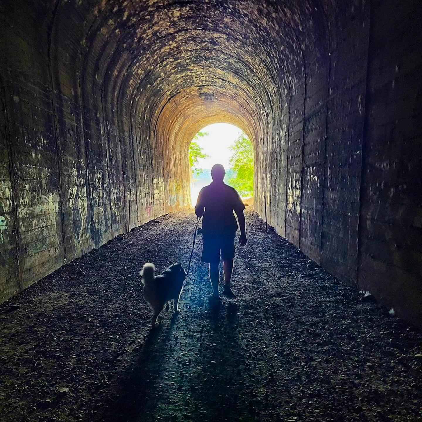 Explore the Brad Freeman Trail in Oroville