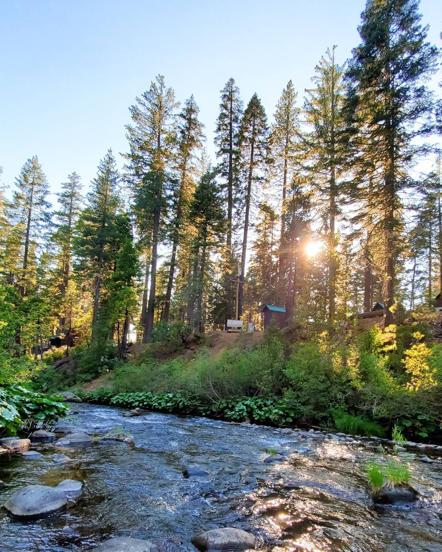 Discover Fun August Activities in Butte County