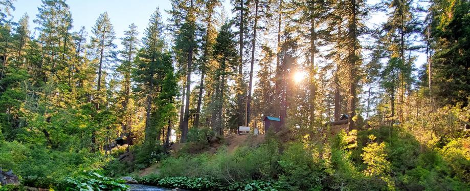 Butte Meadows 2021 6 22 CREDIT chelseabeibei EXTENDED