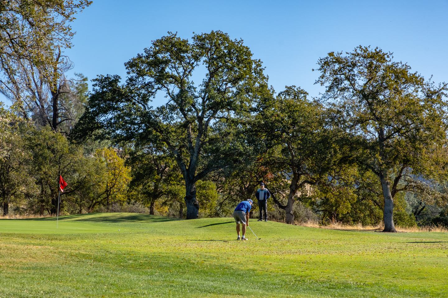 Fun Fairways: Golfing in Butte County