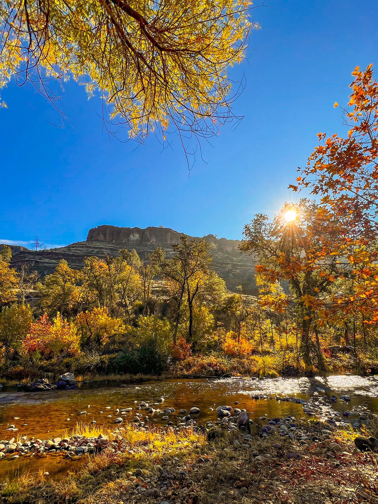 Explore Butte Creek