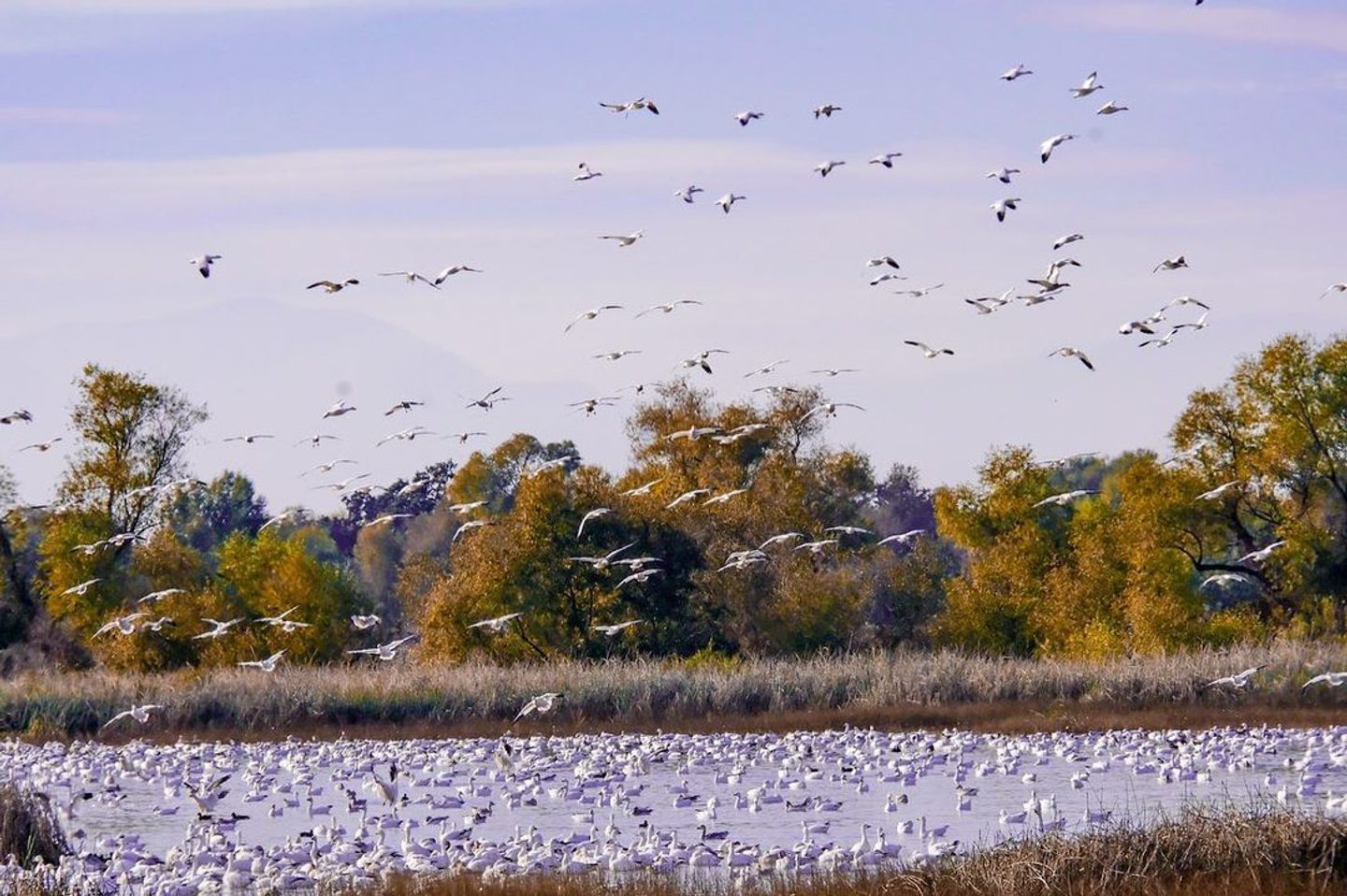 Road Trip to Top Hiking Spots
