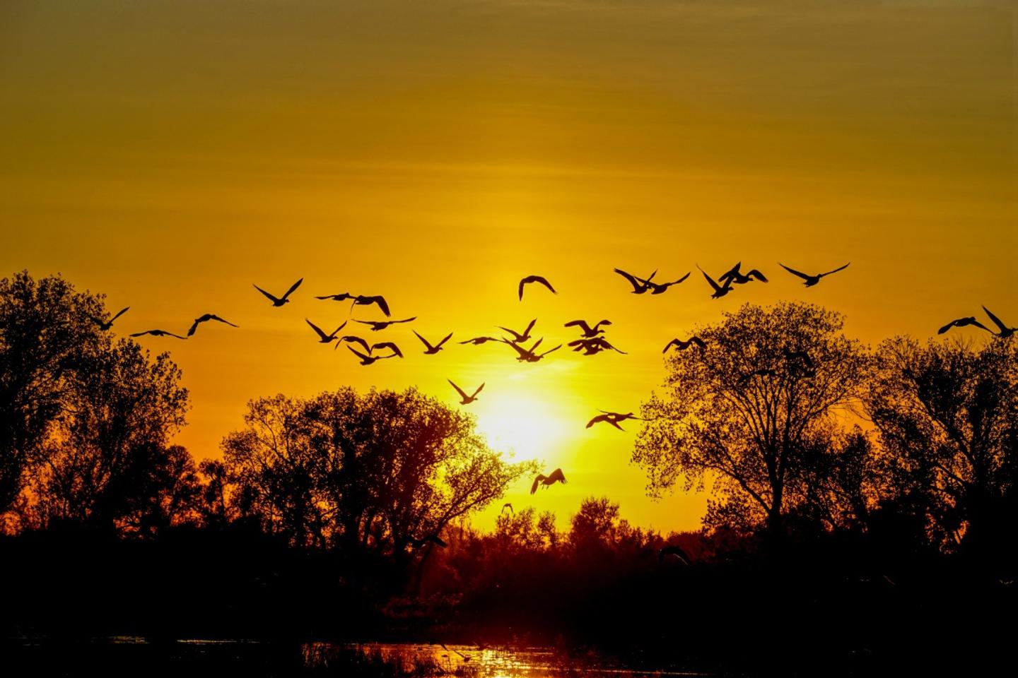 The Best Outdoor Spots in Butte County