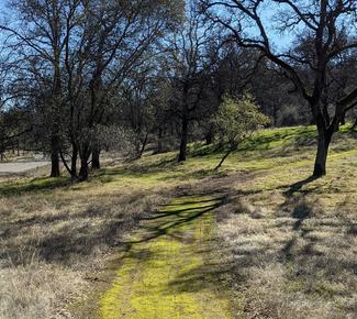Lime Saddle Memorial Park Trail