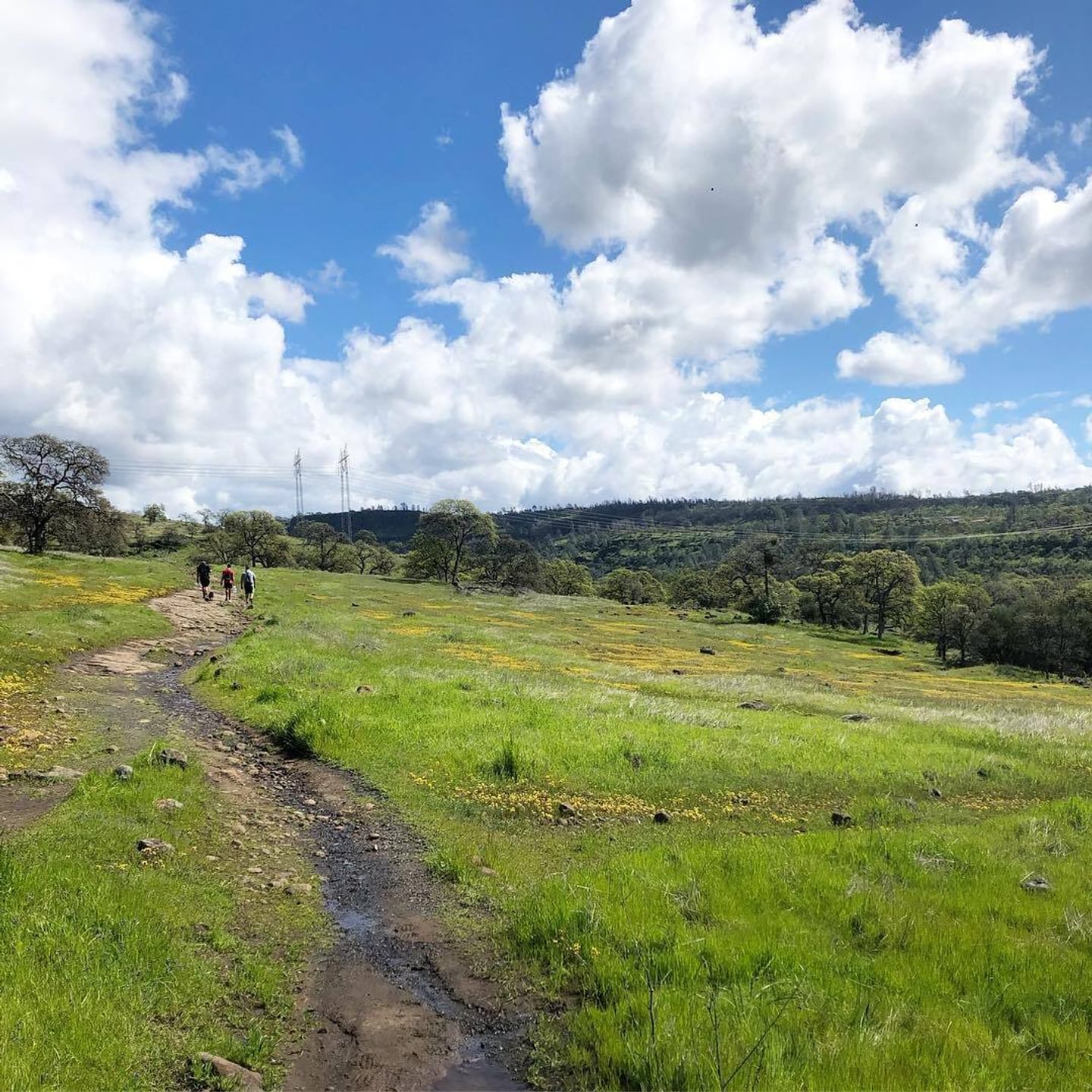 North Rim-B Trail-Middle Trail Loop