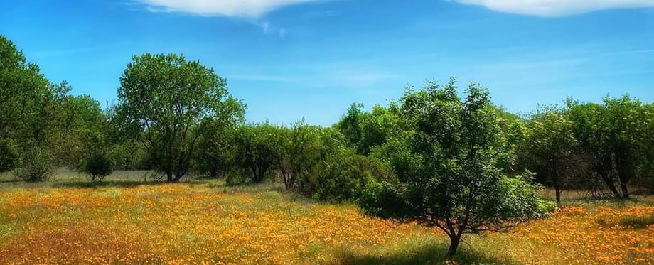 Hiking in the Pine Creek Unit