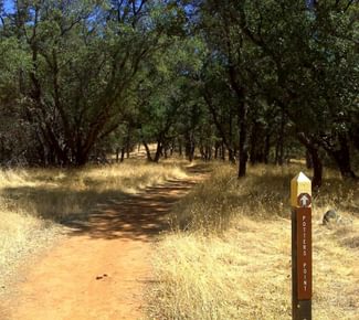 Discover Potters Point