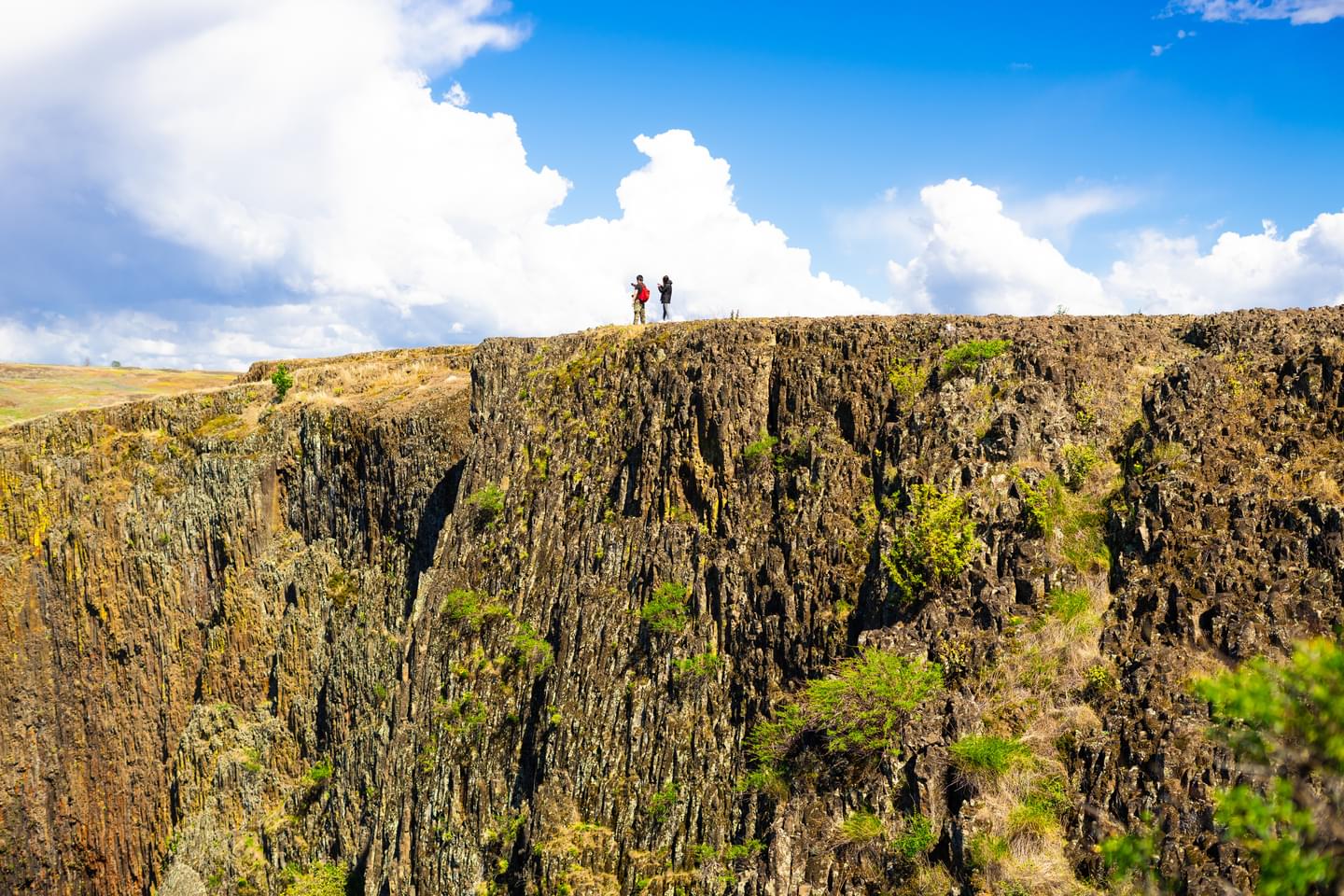 North Table Mountain Ecological Reserve