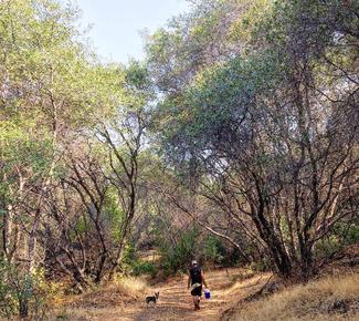 Upper Bidwell Park Loop - South Side