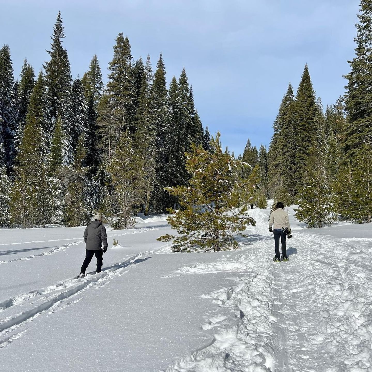 Winter Wonderland: Jonesville and the High Country