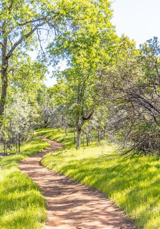 Lake Oroville Hiking Trails
