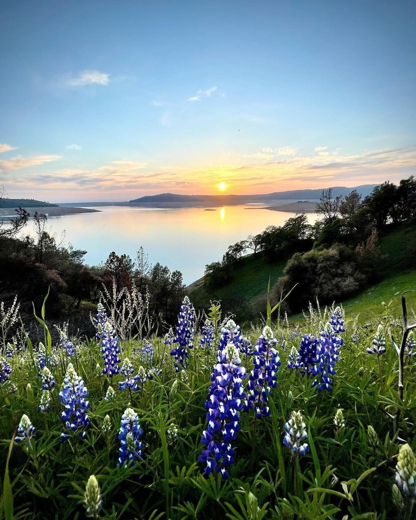 Why I Love Oroville