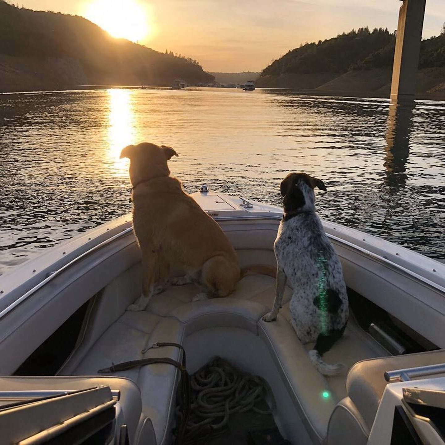 Dog-Friendly Places in Butte County