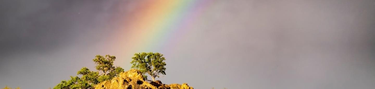 Upper Bidwell Park Hikes