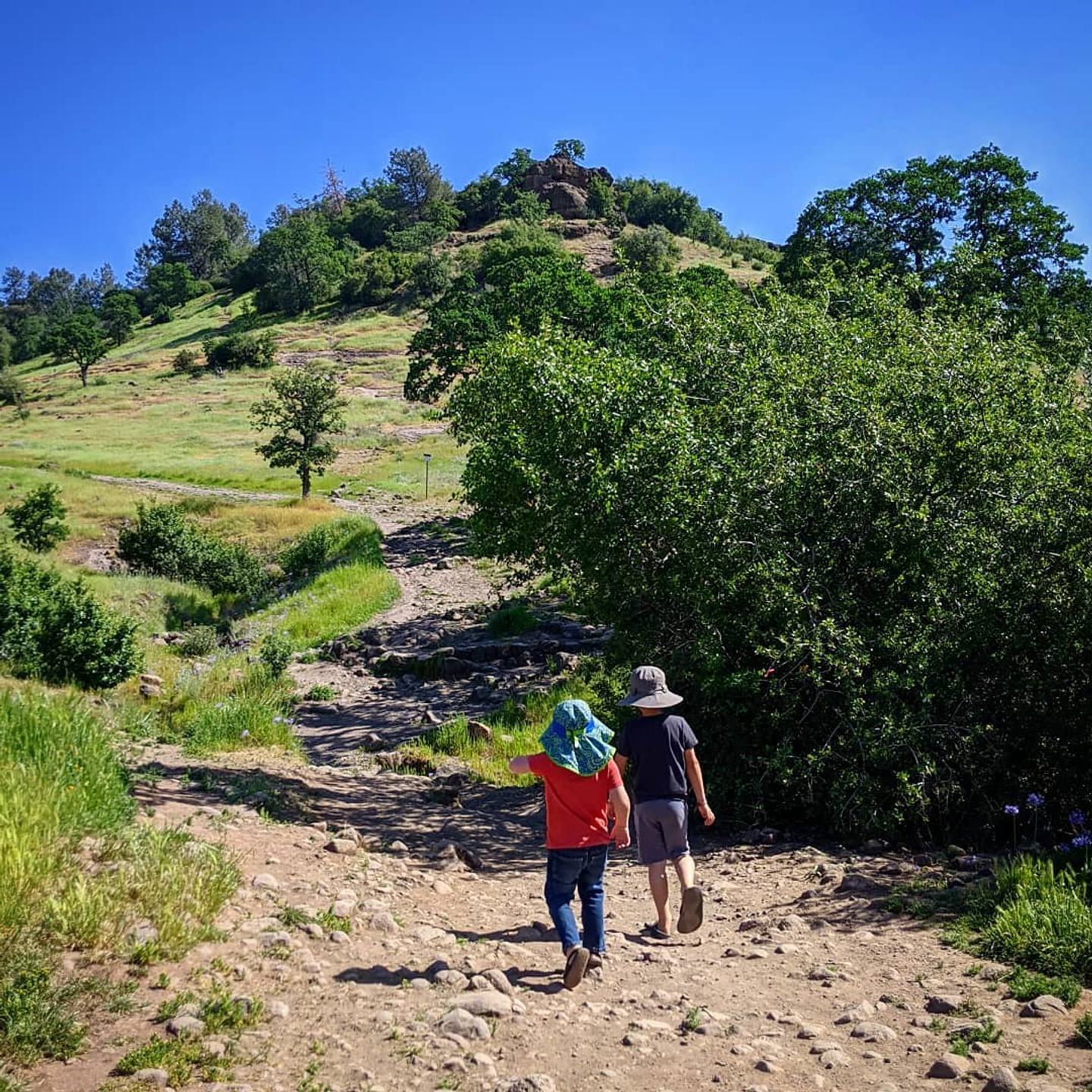 7 Kid-Friendly Hiking Trails in Butte County