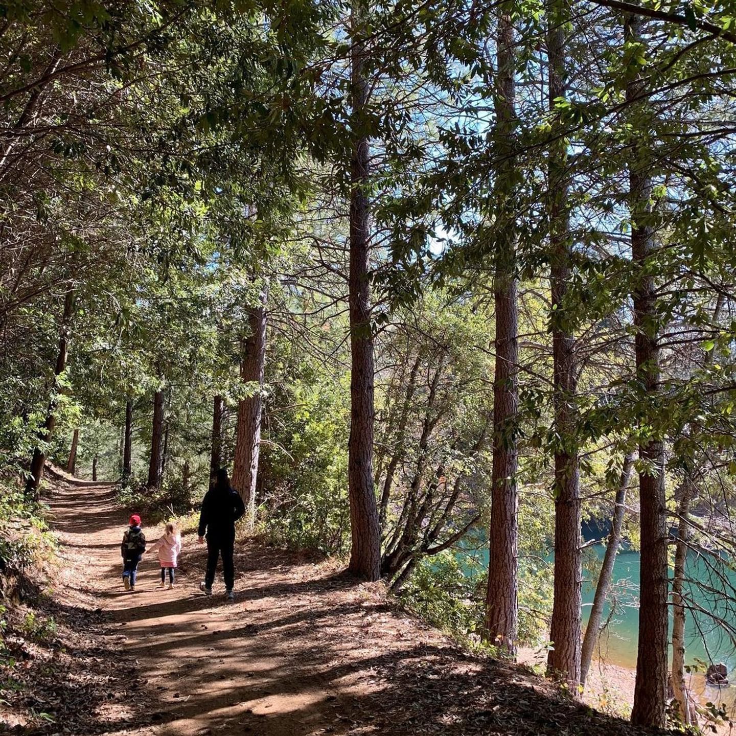 Paradise Lake: Picnic in the Pines
