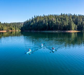 Paradise Lake: Picnic in the Pines