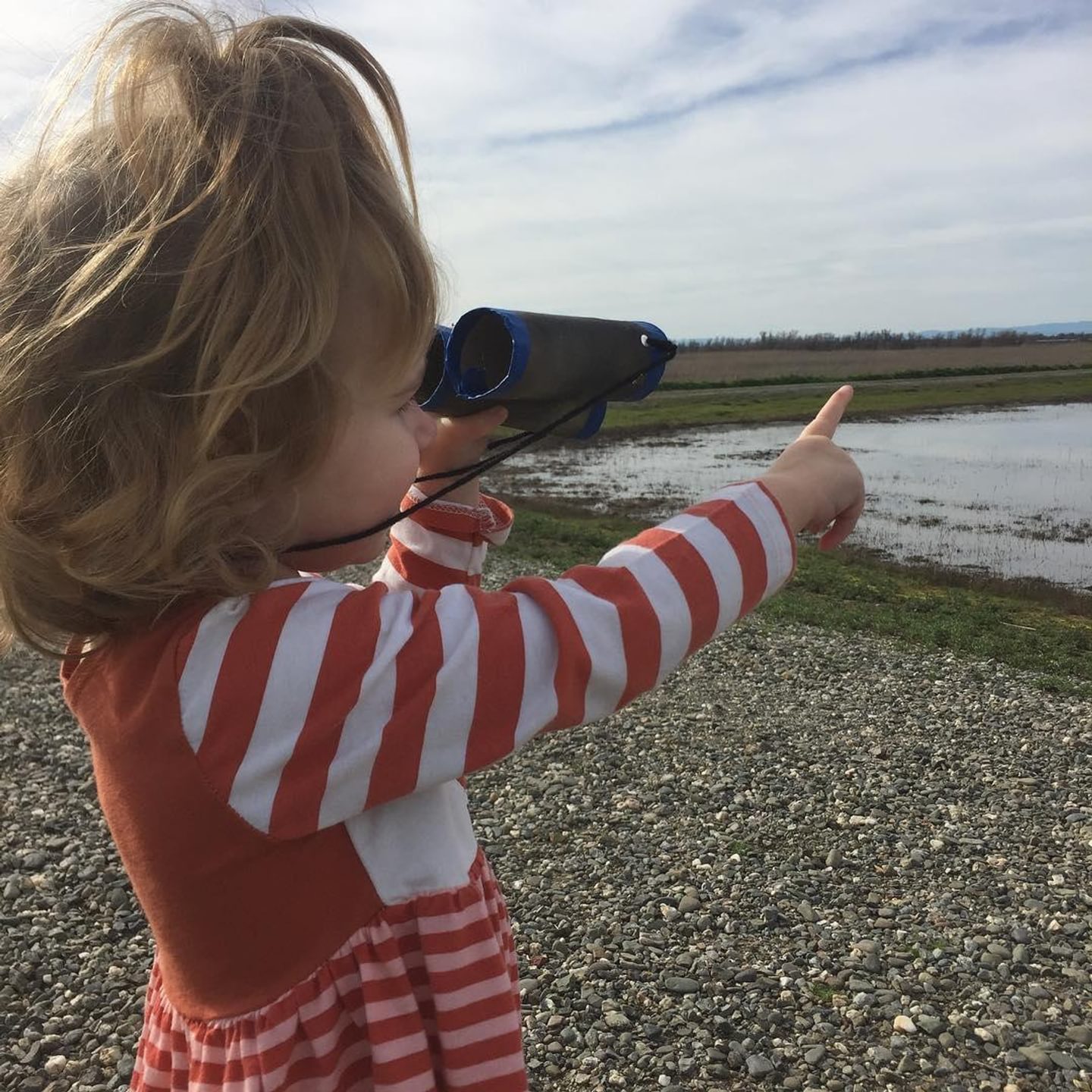 The Snow Goose Festival: A Birdwatcher's Delight