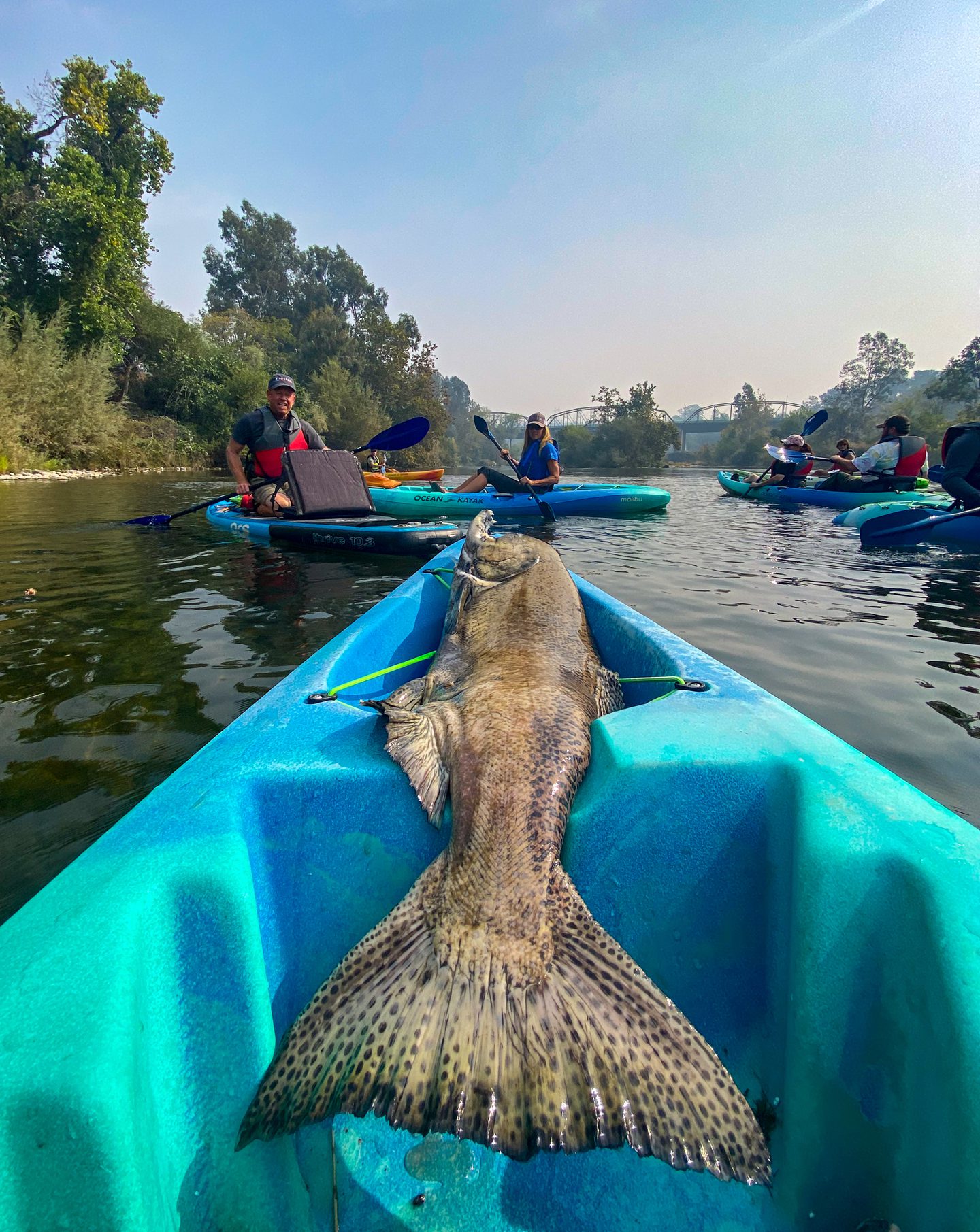 Events We're Looking Forward to This September in Butte County
