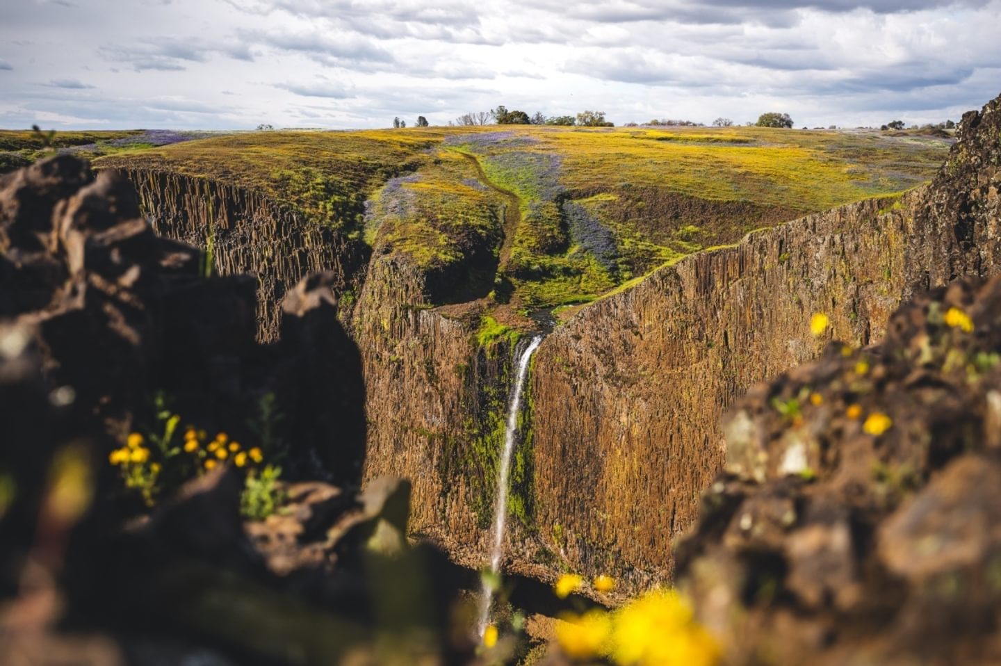 Top 15 Things to Do in Oroville According to TripAdvisor