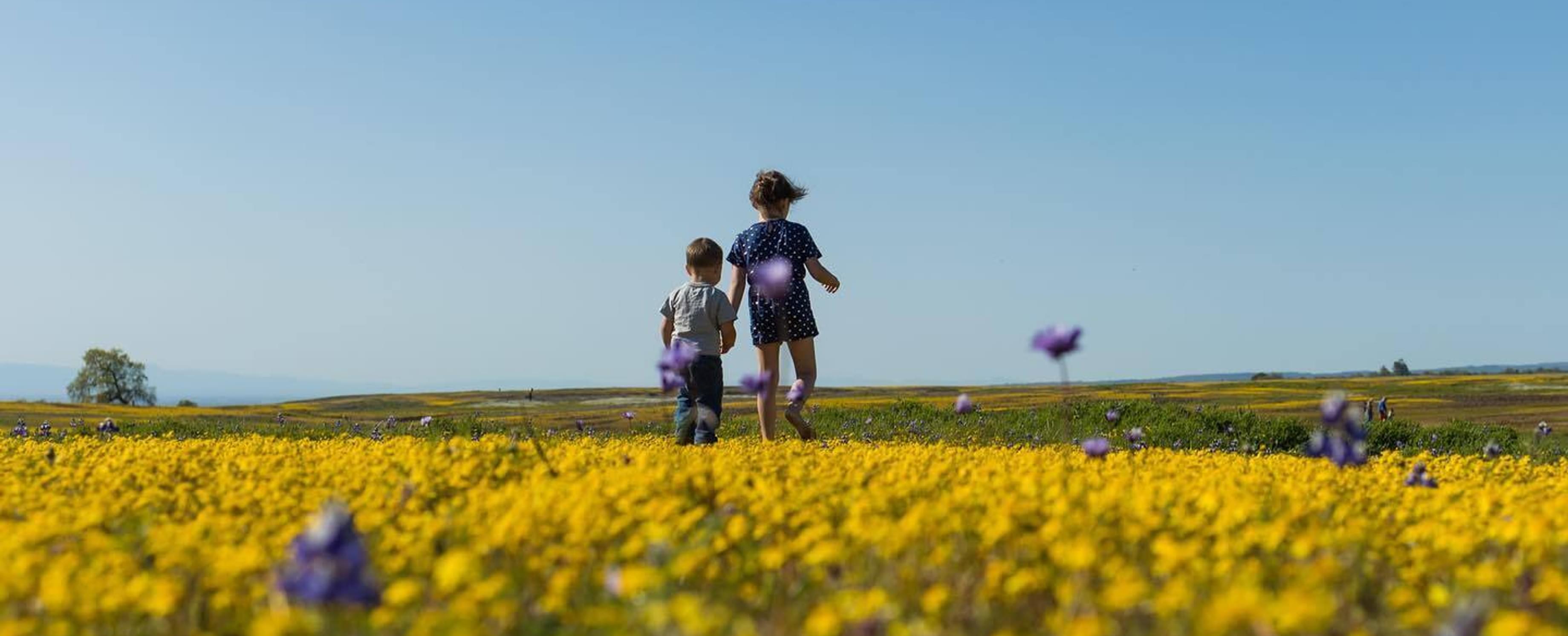 Spring Family Adventure | Explore Butte County