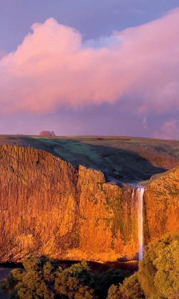 Hike the North Table Mountain Ecological Reserve