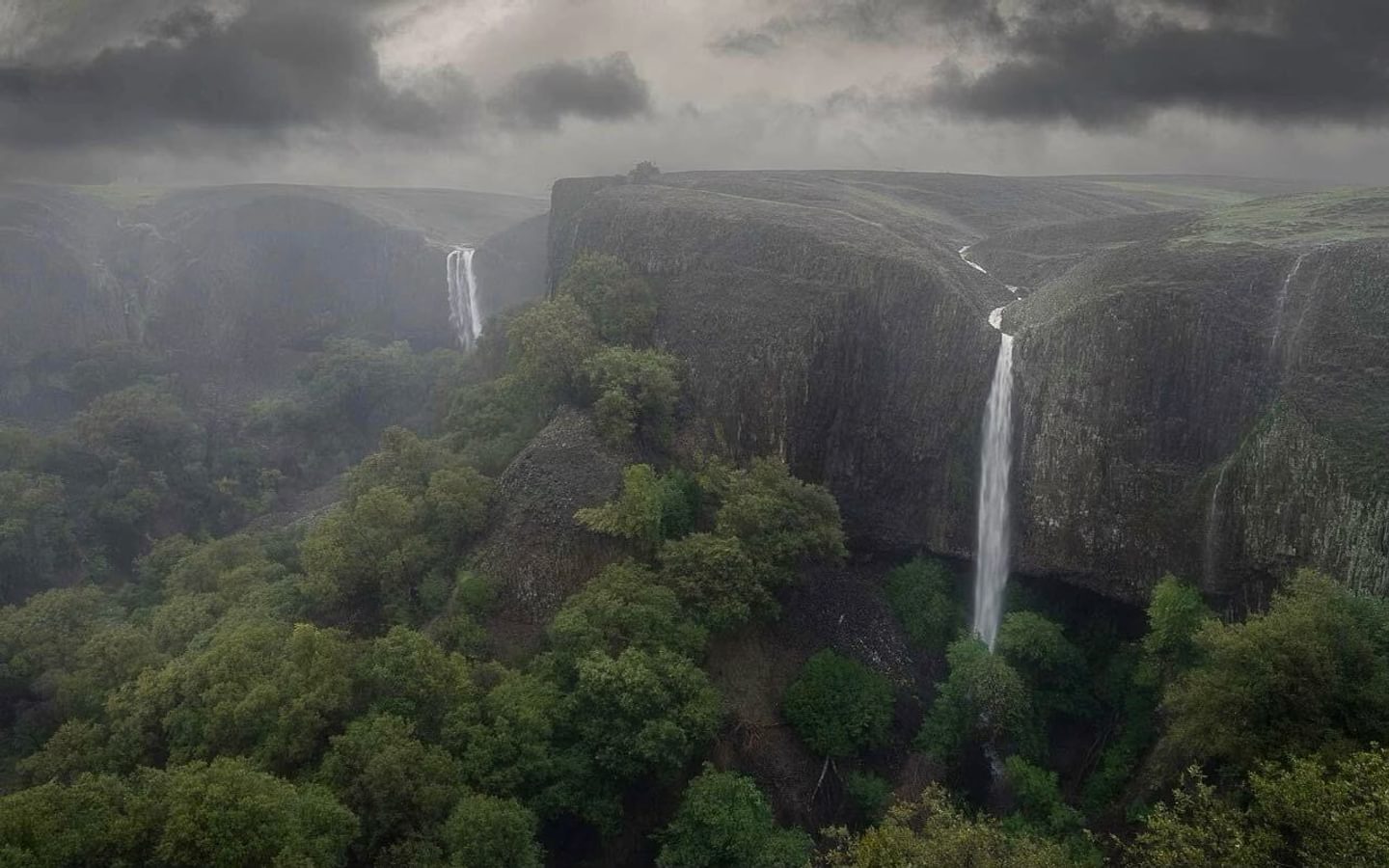 Hike the North Table Mountain Ecological Reserve