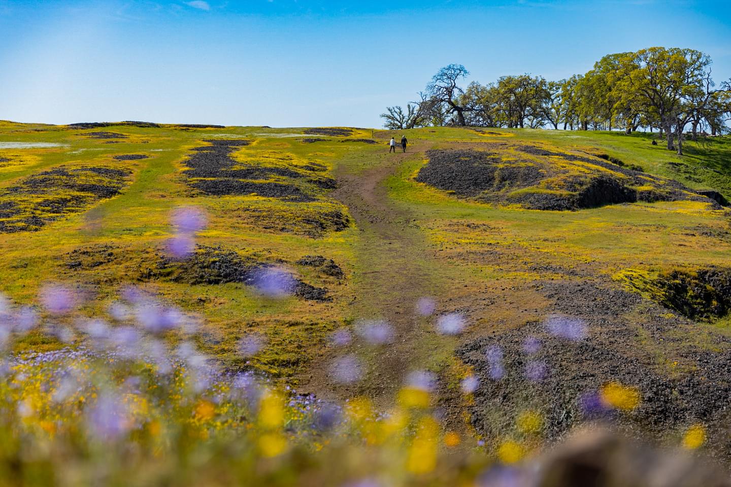 Scenic Adventures in Oroville: A Two-Day Outdoor Itinerary
